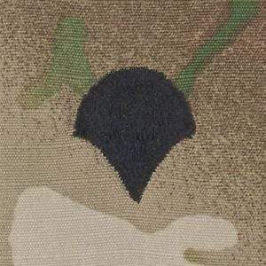 Tactical Gear Junkie Rank SPC Army Rank - SEW ON - 3-Color OCP