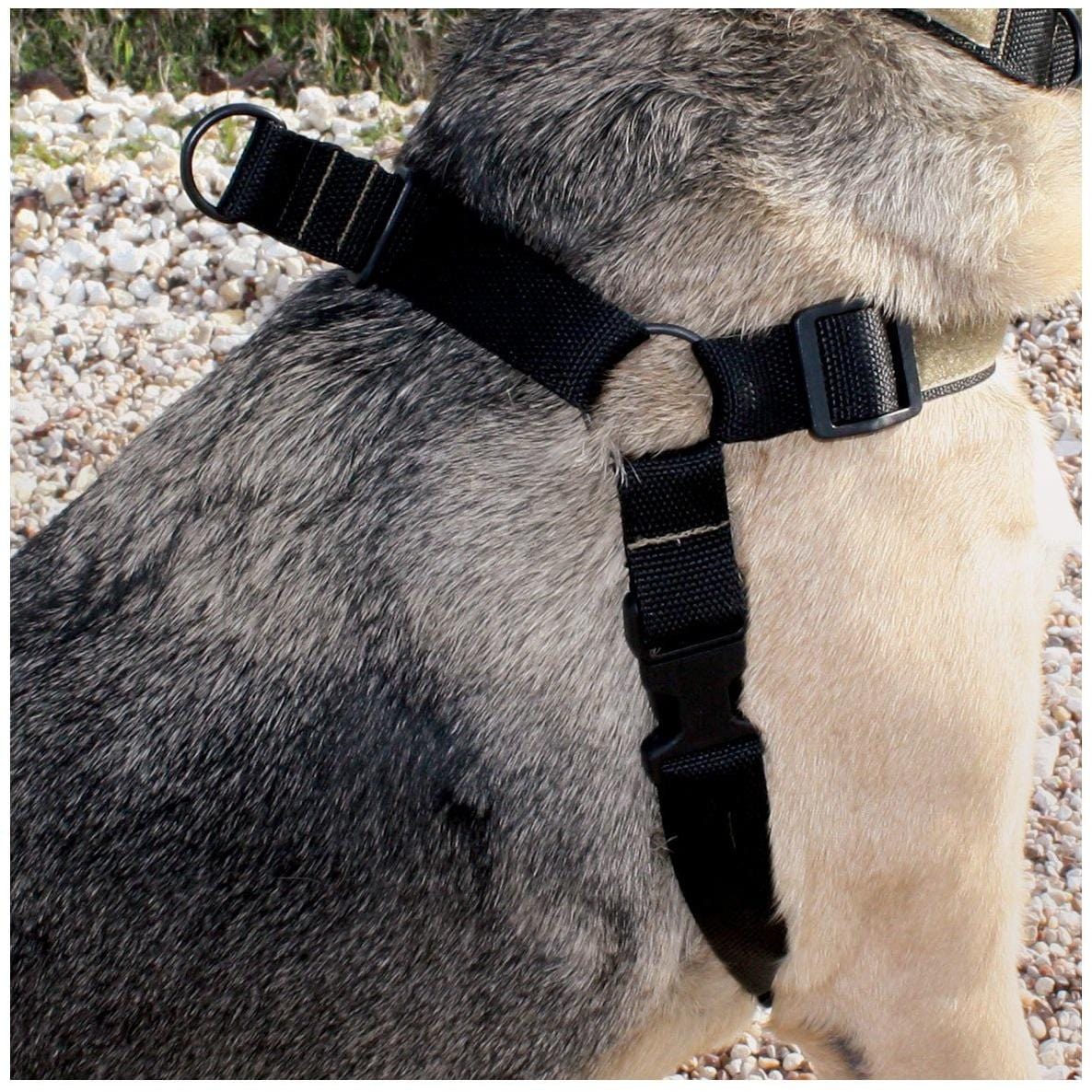 United States Tactical Tactical Gear United States Tactical Dog Harness