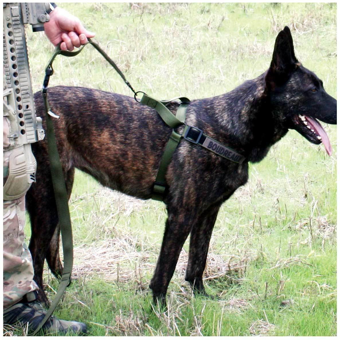 United States Tactical Tactical Gear United States Tactical Dog Harness