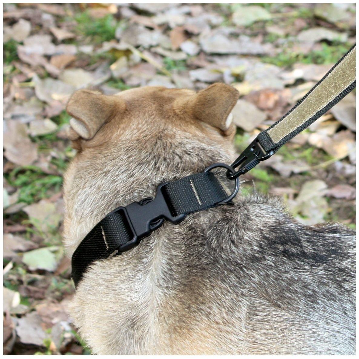 United States Tactical Tactical Gear United States Tactical Dog Collar with Quick-Release Buckle