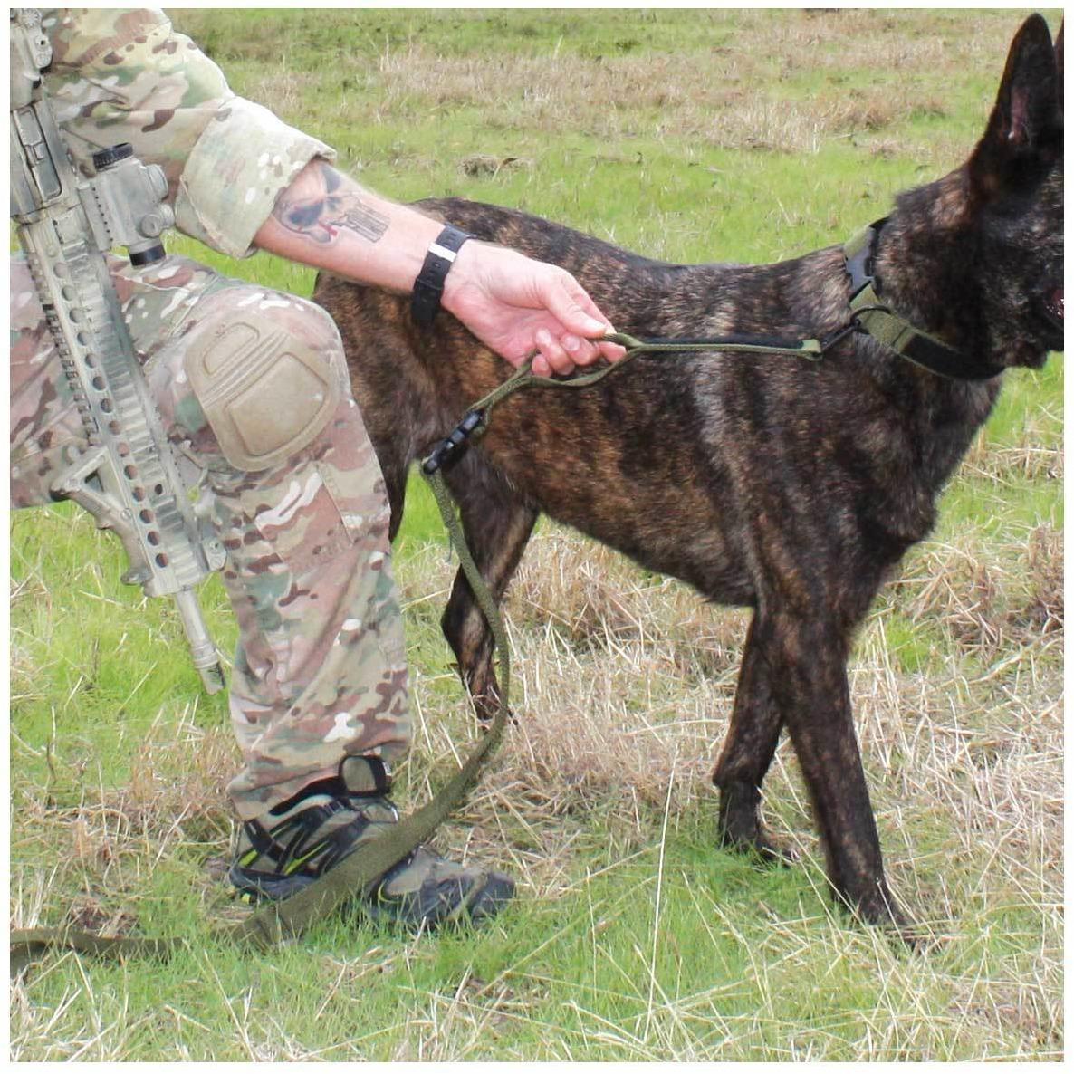 United States Tactical Tactical Gear United States Tactical Two-Piece Dog Leash with Frog Clamp & COBRA Buckle