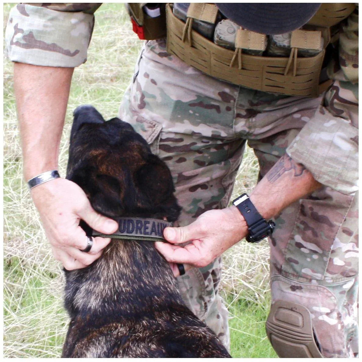 United States Tactical Tactical Gear United States Tactical Dog Collar with Quick-Release Buckle