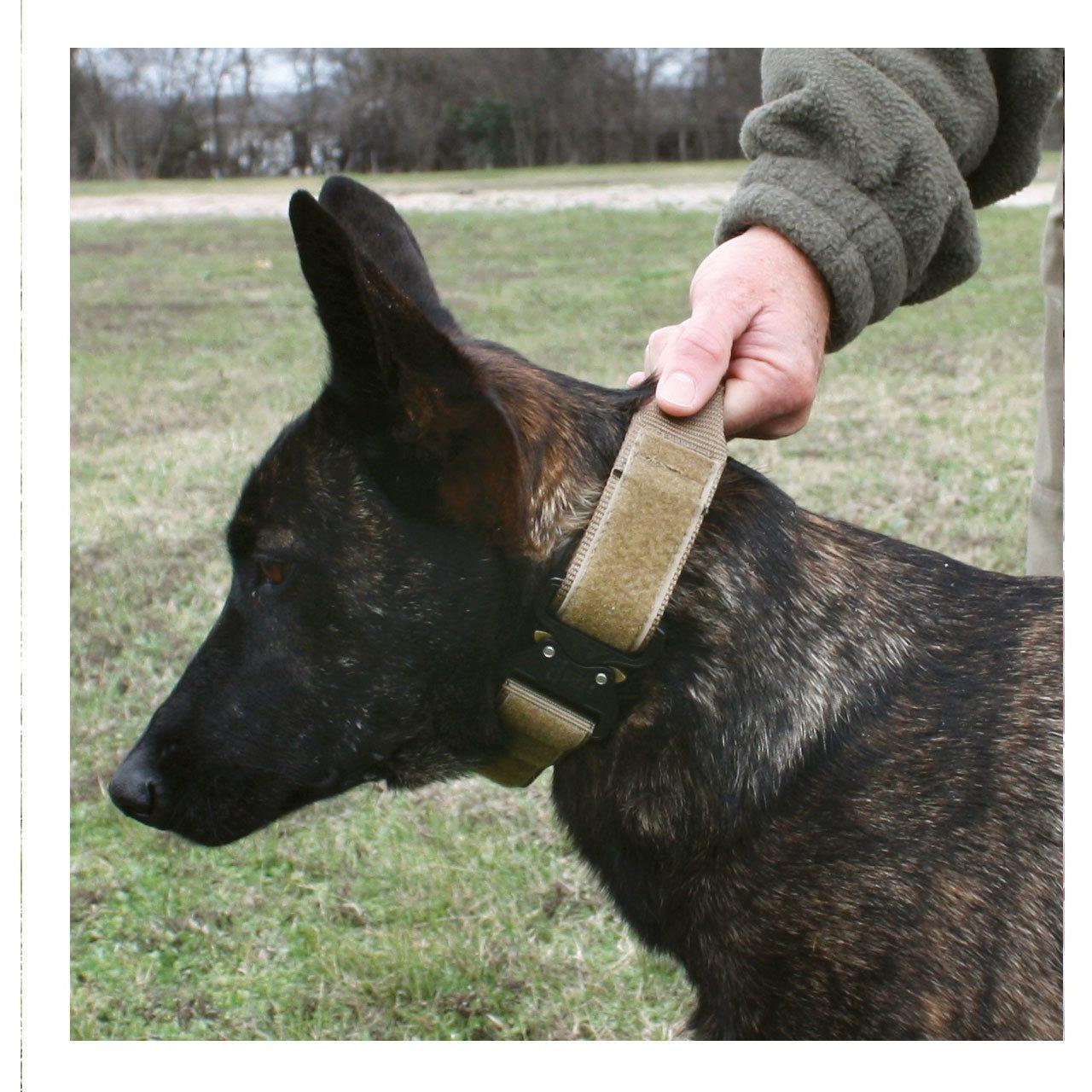 United States Tactical Tactical Gear United States Tactical Dog Receiver Collar with COBRA Buckle