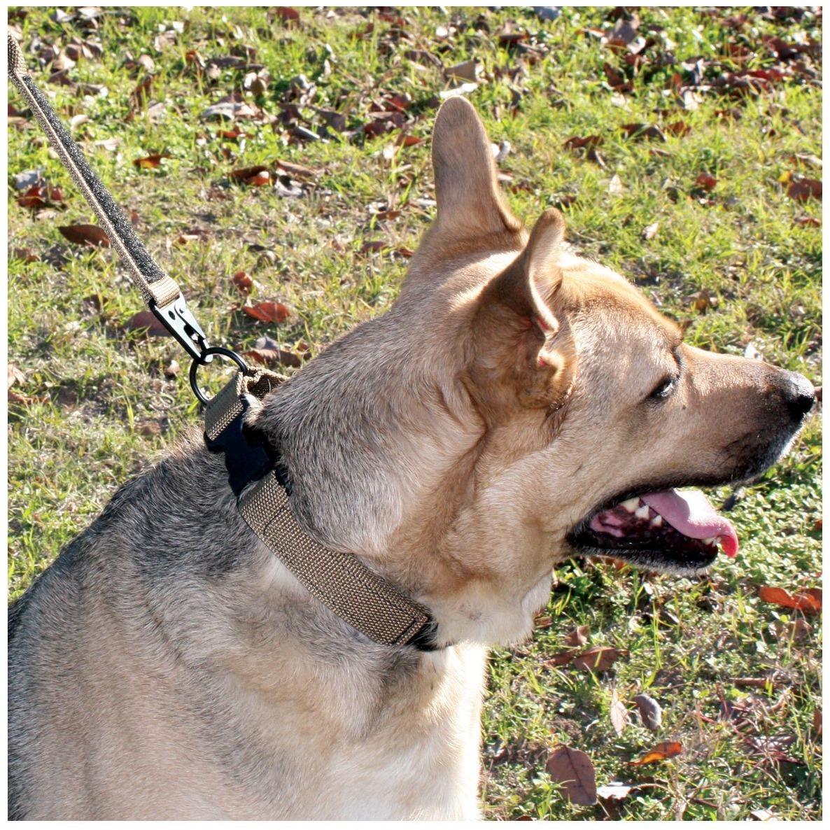 United States Tactical Tactical Gear United States Tactical Dog Collar with Quick-Release Buckle