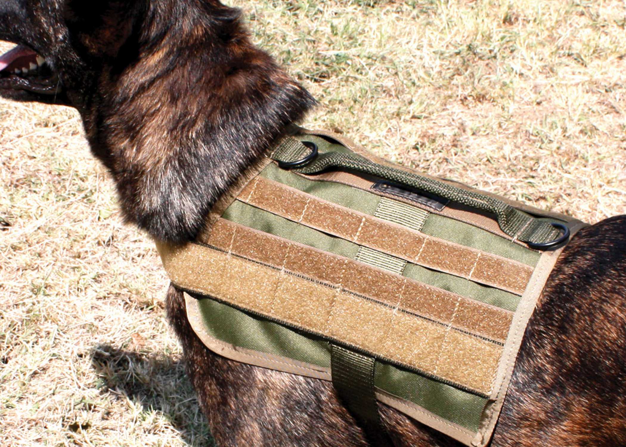 K9 Accessories - Tactical Gear Junkie