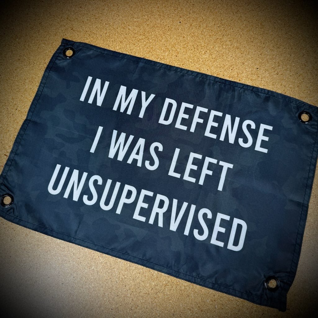 In My Defense I Was Left Unsupervised - 12"x17.5" - Mini Wall Banner