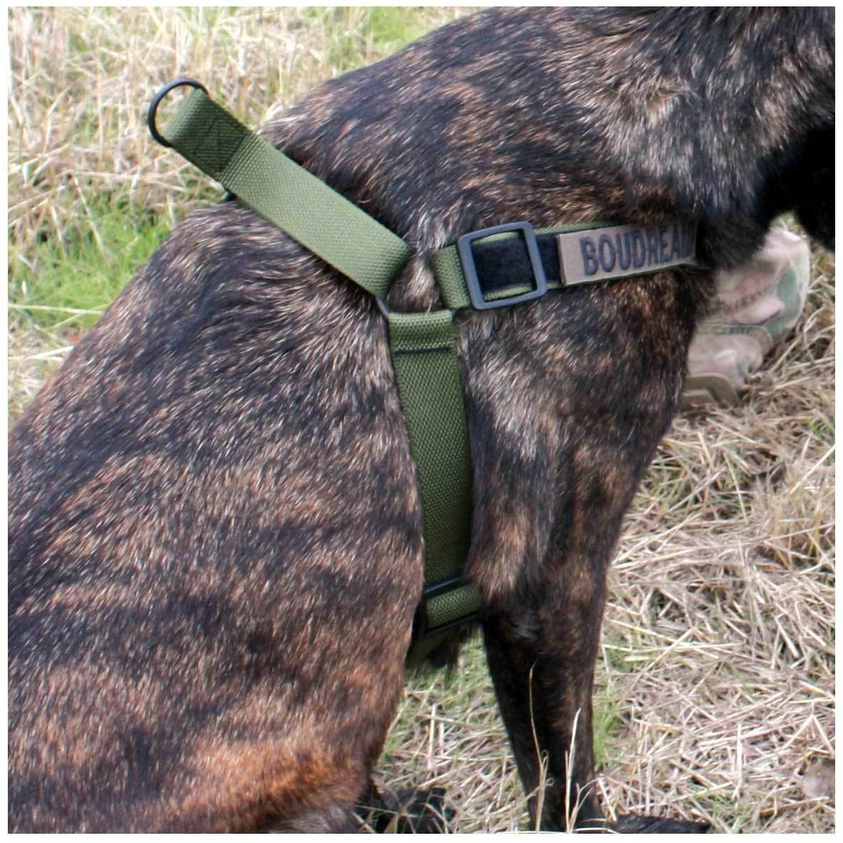 United States Tactical Tactical Gear United States Tactical Dog Harness