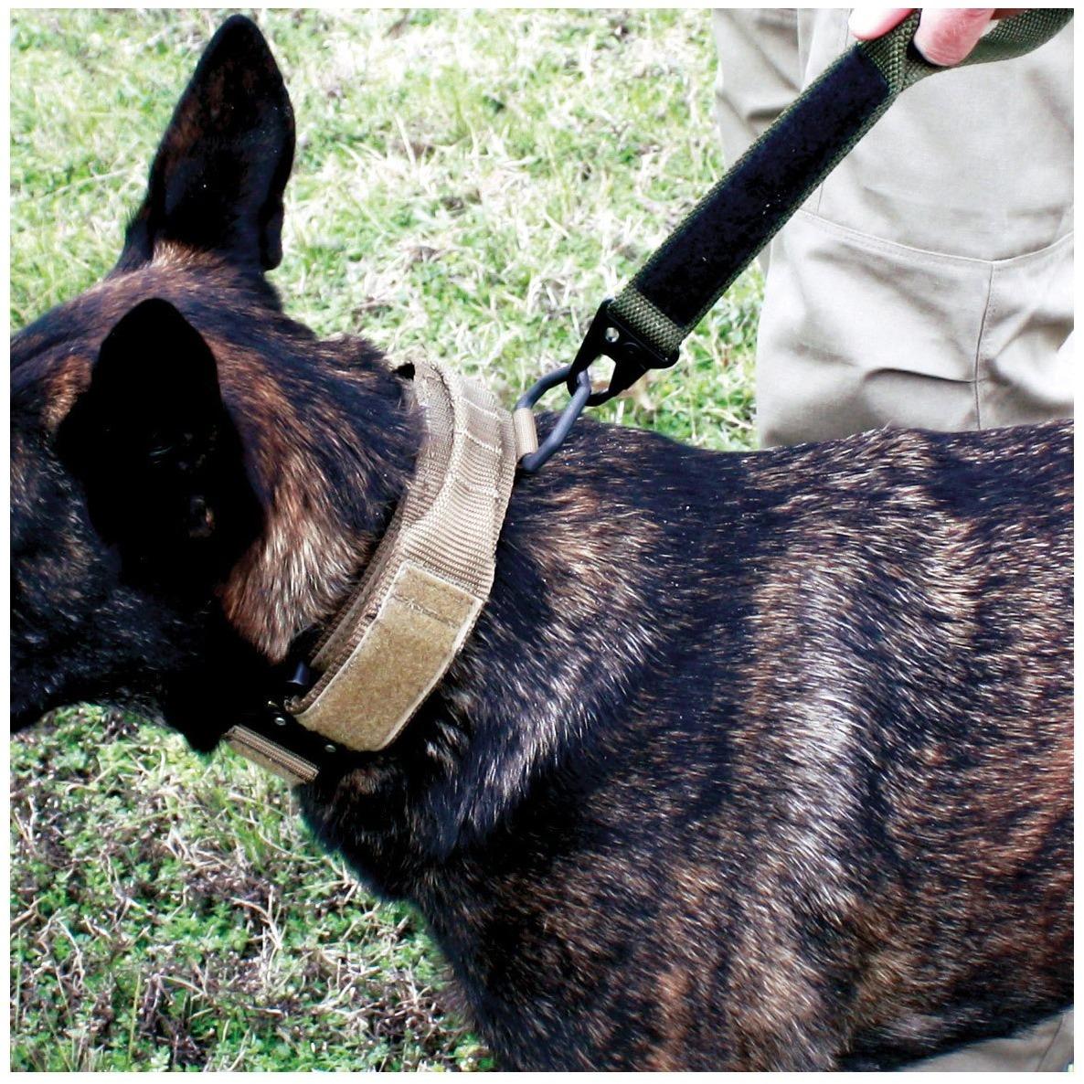 United States Tactical Tactical Gear United States Tactical Dog Receiver Collar with COBRA Buckle